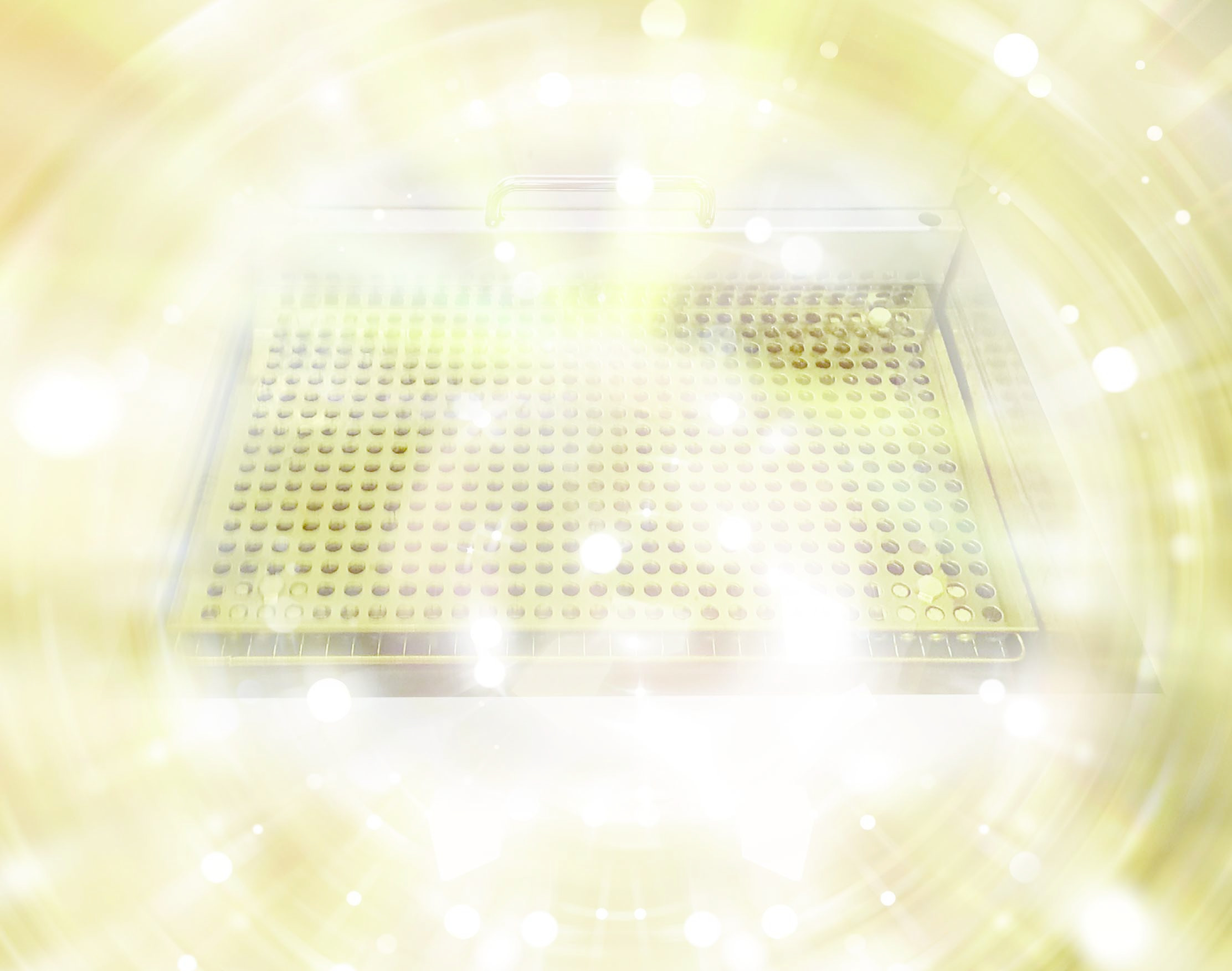 [電子・イオンのイメージ]